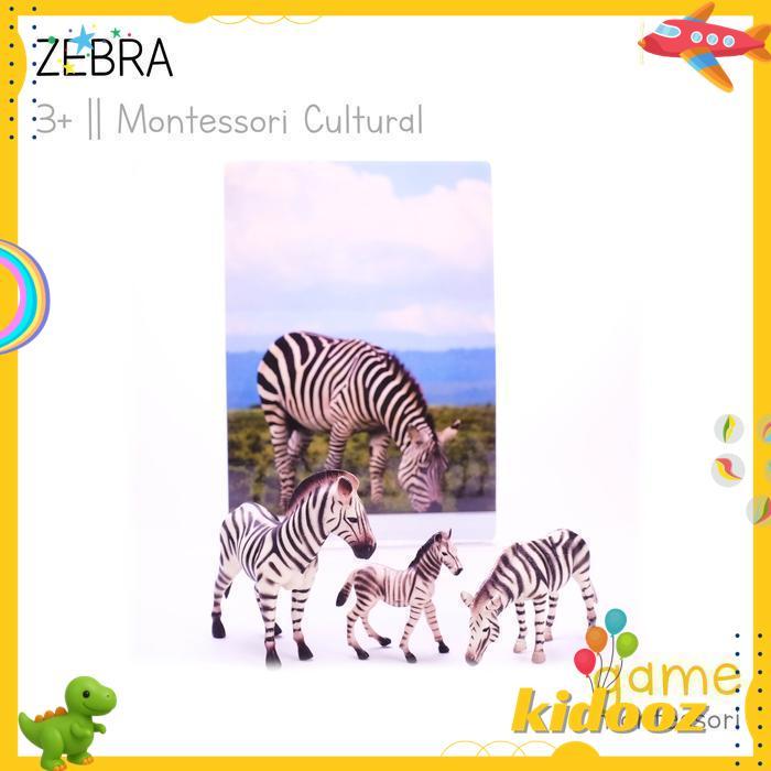 MONTESSORI CULTURAL WILD ANIMAL ZEBRA PRODUK TERBAIK