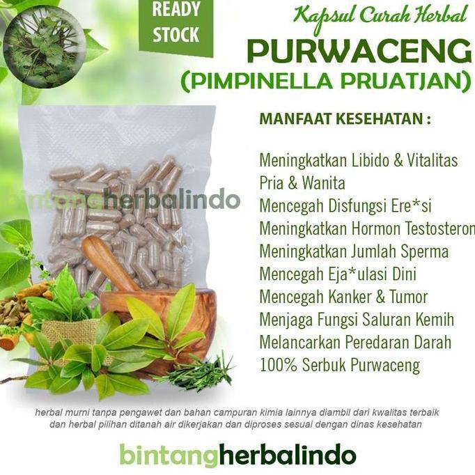 PURWACENG 100 Kapsul Curah Herbal Jamu Kuat Pria Vitalitas Libido ED REZ