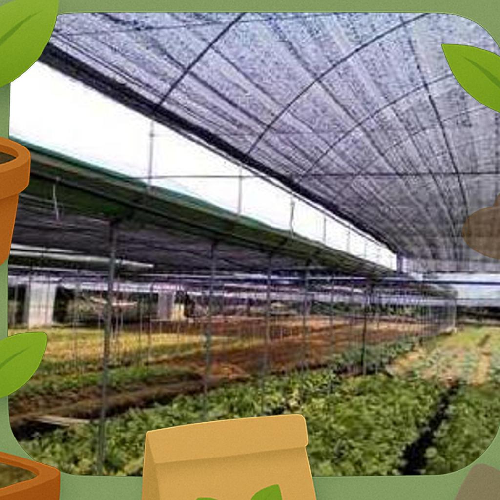 Paranet 90% Lebar 1 Meter ( 1 Roll )  - Paranet Peneduh Anti Uv