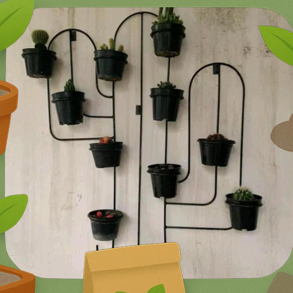 Rak Pot Kaktus Tempel Dinding / Rak Kaktus Dinding / Rak Bunga Kaktus