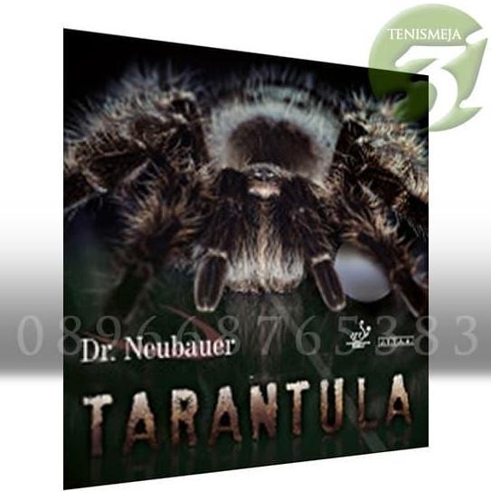 Rubber/Karet Anti Spin Dr. Neubauer Tarantula