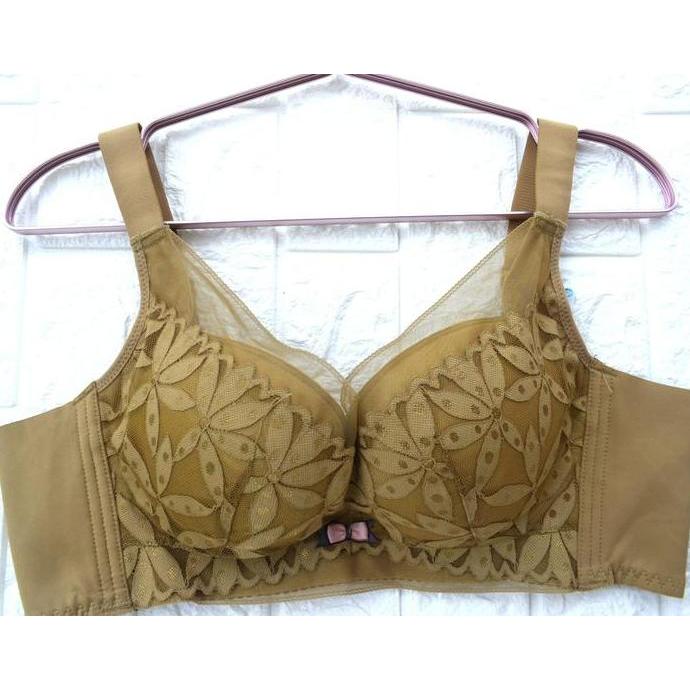 Promo Premium BRA Cup C Berkawat Busa Tipis BH Wanita Dewasa Penutup Samping Lebar Kait 4 Bahan Halu