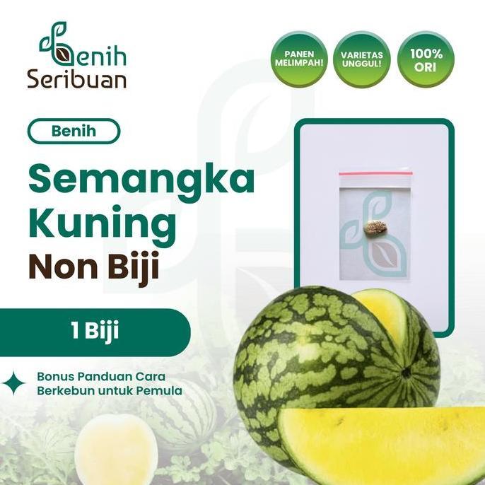 1 Benih Semangka Non Biji Kuning F1 Hibrida Benih Buah Semangka Besar