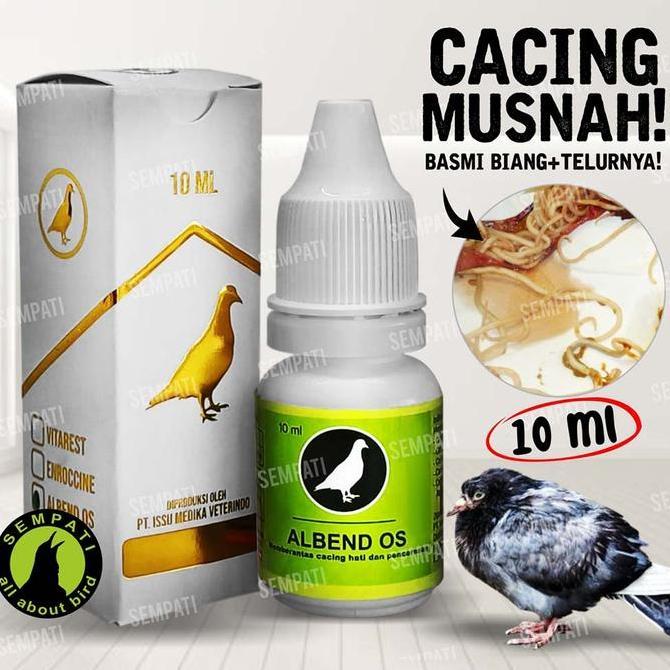 Albend Os Vitarest Obat Cacing Burung Merpati Sakit Cacingan Pencernaan Burung Merpati Dara Perkutut