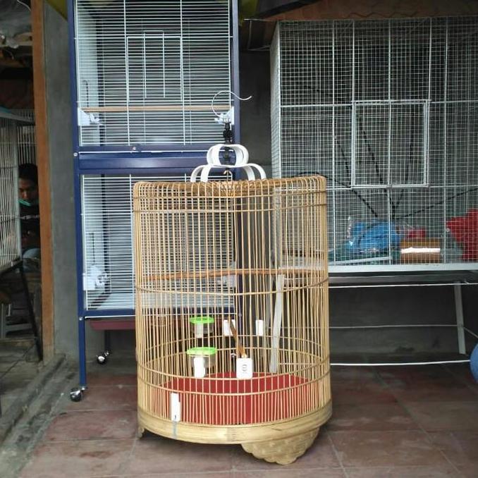 ASLI Kandang burung murai mentahan no 2 kandang halus full set READY STOCK