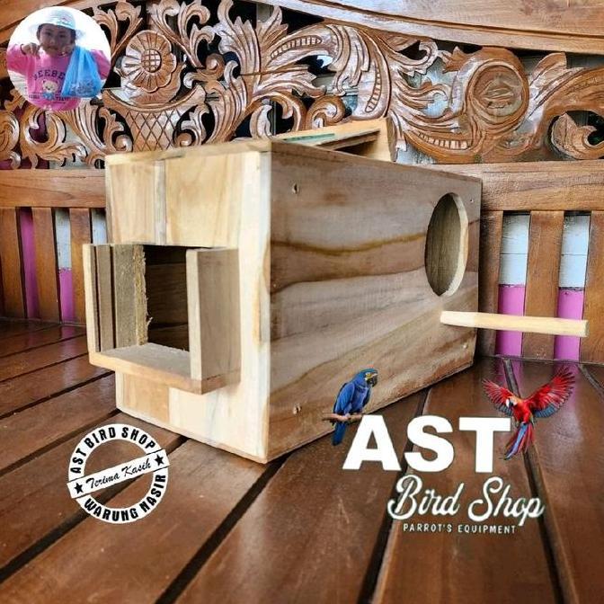 TERMURAH Glodok jalak bali jalak putih penempatan kiri READY STOCK