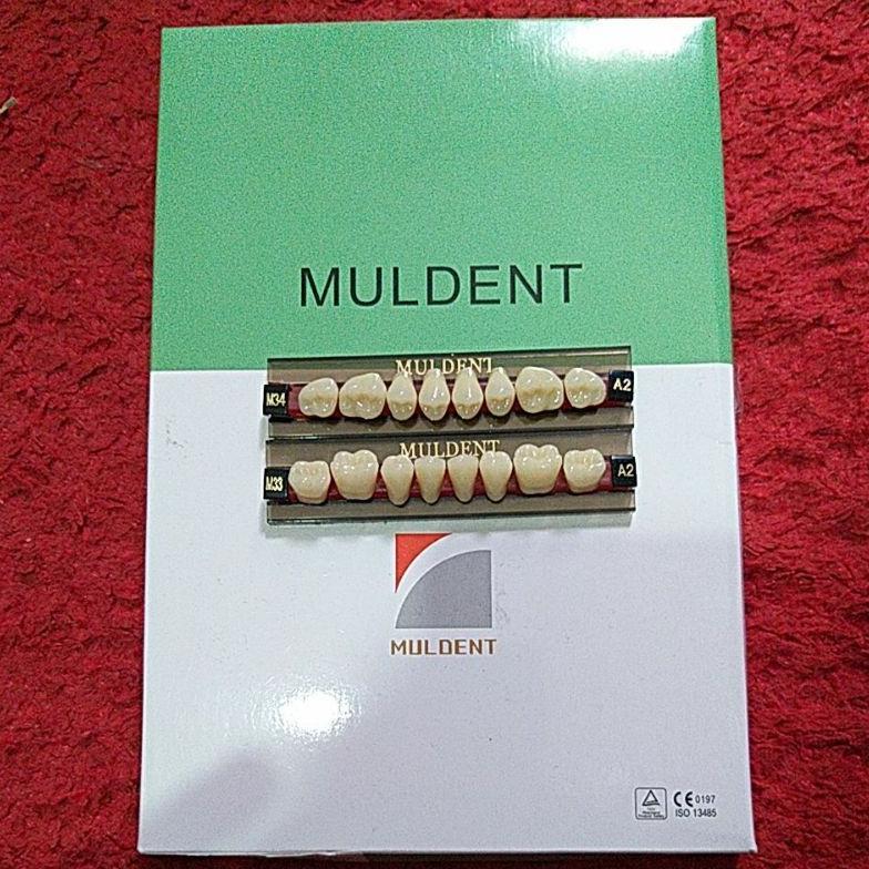 StockLaris- 1 papan Gigi Palsu Geraham/ Posterior Muldent