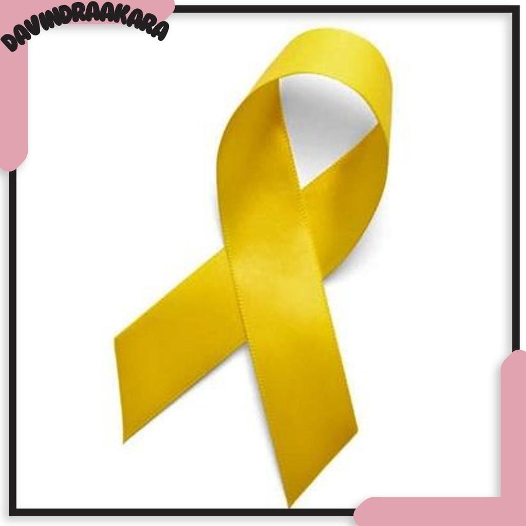 2 M Pita Twirling Satin dan Tongkat Twirl Aksesoris Tari Nari Penari Tarian Tamborin Tamborine Gerej