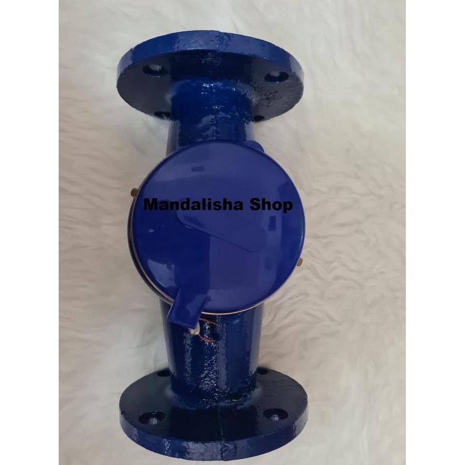 Water Meter 2 inch inchi