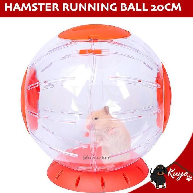 Running Ball Big 20cm Mainan Hamster Lari Roda Putar Besar Landak Mini AME
