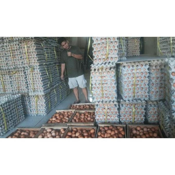Expert- TELUR AYAM NEGERi Fresh 2kg isi 32 butir.. kirim