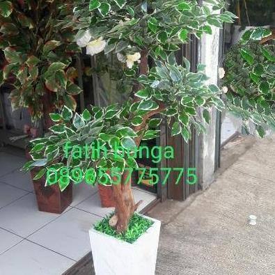 pohon bonsai beringin lis putih bunga plastik bunga hias