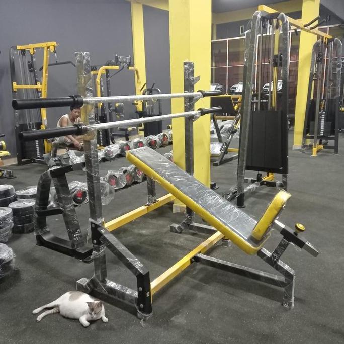 Olympic Incline Bench Press Progym
