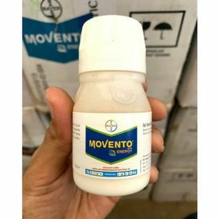 MOVENTO ENERGY  -  240 SC