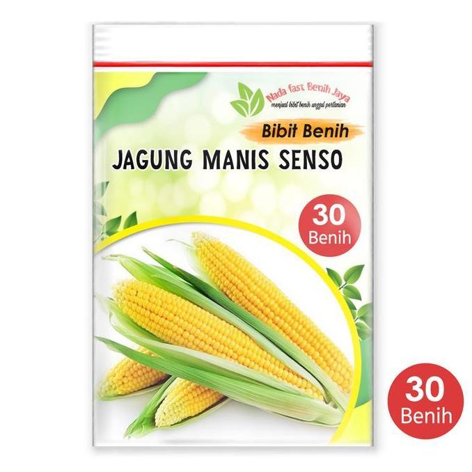 30 Biji Bibit jagung manis senso -  benih jagung manis unggulan