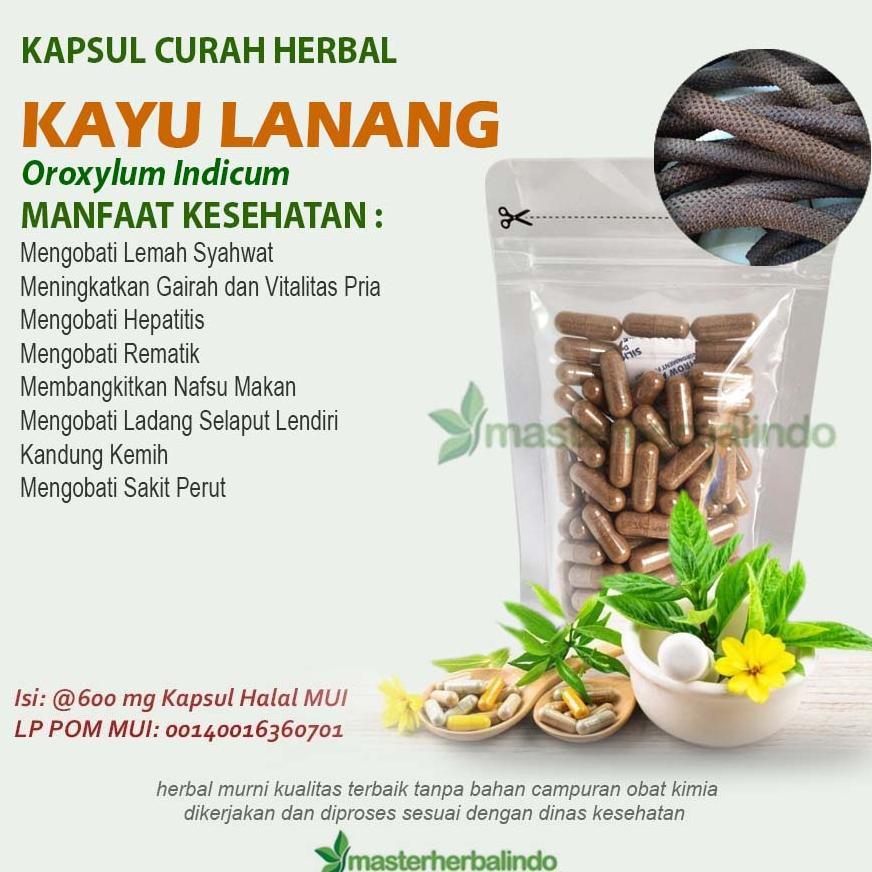 Snackwell KAYU LANANG Kapsul Curah Herbal Rematik Hepatitis 200x600mg
