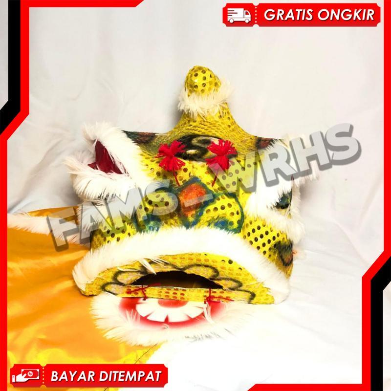 Barongsai Anak Dewasa Bahan Karton Tebal Kokoh Barongsai Kedip Cuci Gudang