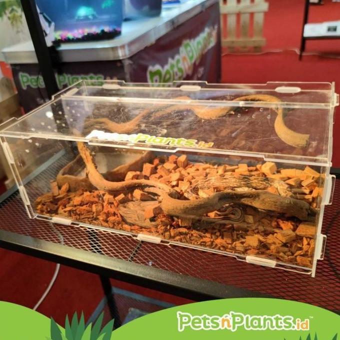 HARGA DISC - Acrylic Reptile Cage Box Kotak Reptil Vivarium Terarium Akrilik Import