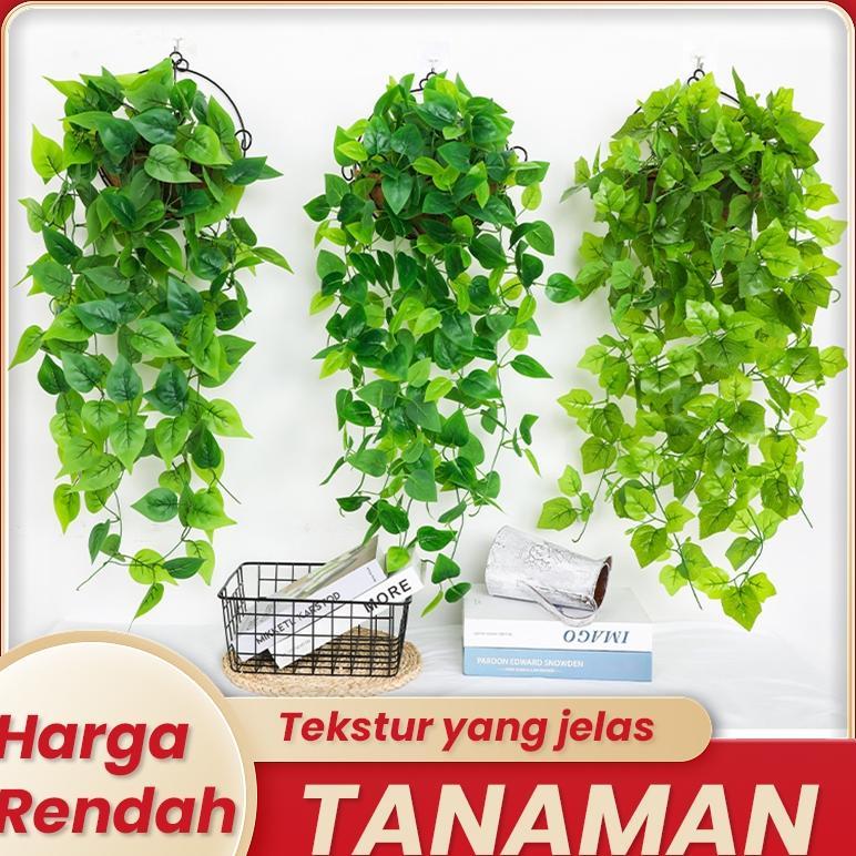 Bisa Cod Ya Kak Tanaman Pakis Gantung Buatan Tanaman Ivy Palsu Boston Fern Tanaman Gantung Luar Ruan