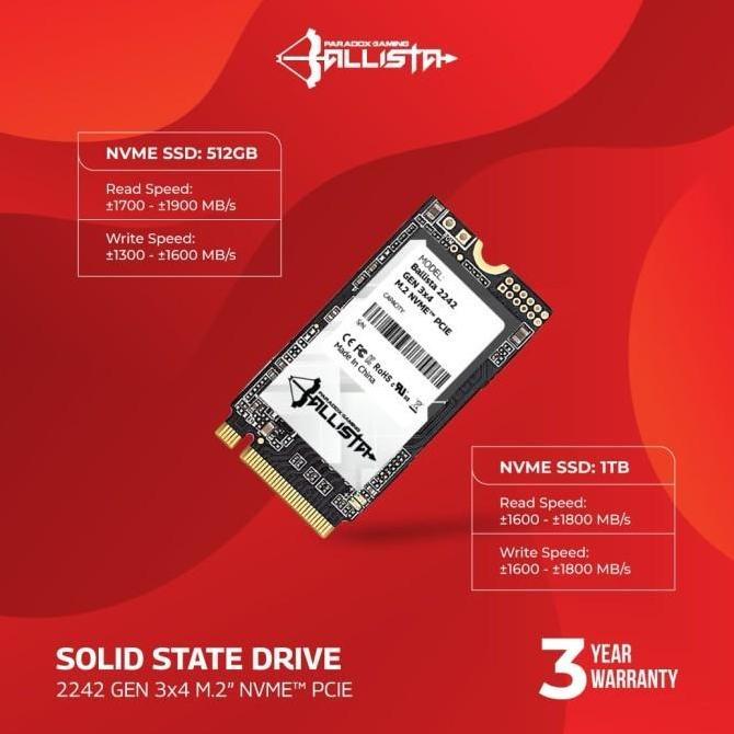 TERMURAH - SSD Paradox Gaming Ballista 1TB - NVMe M2 2242 - SSD 1 TB NVMe 2242