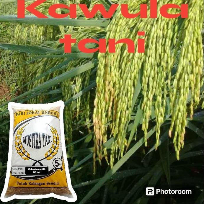 Gaerdenpic- Benih Padi Cakrabuana 04 5Kg
