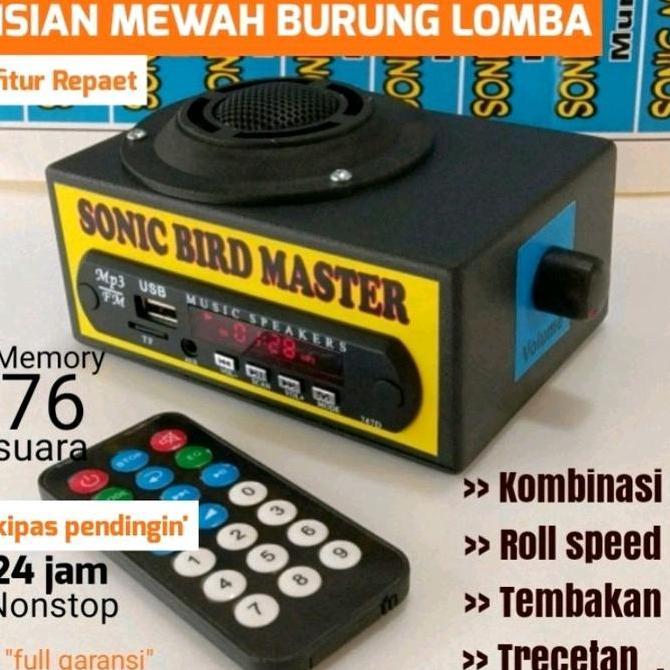 Jdg- Masteran Murai Sonic Master Masteran Burung Juara Mp3 Free Memory
