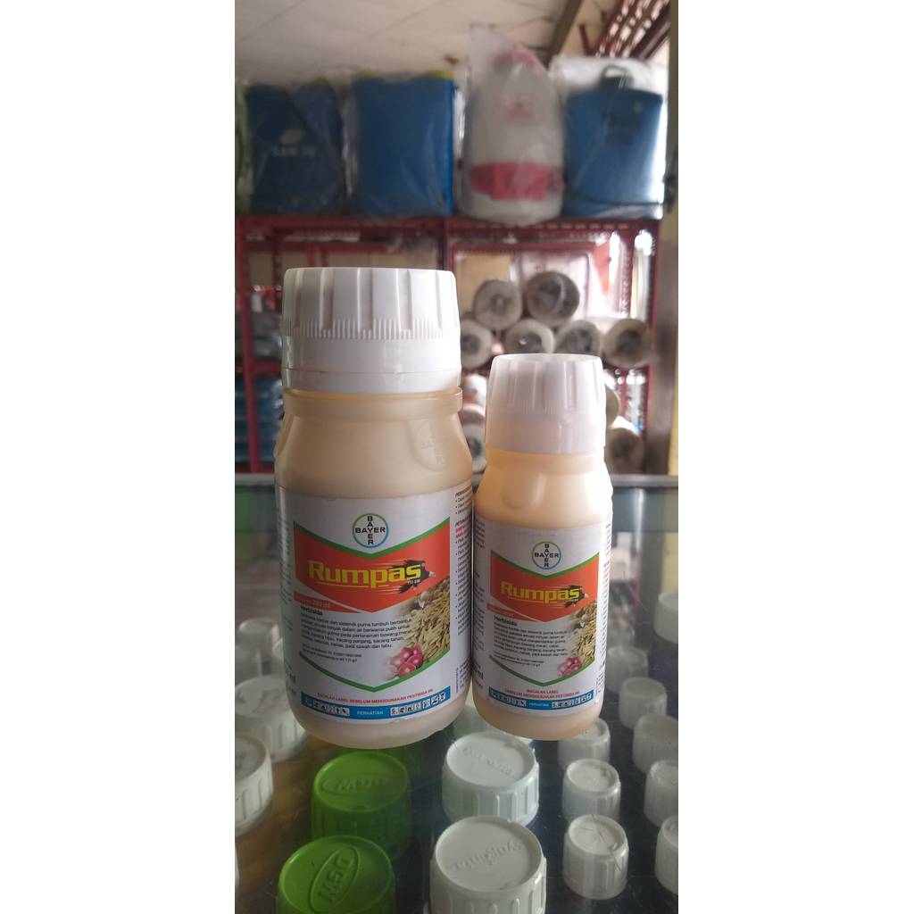Herbisida Rumpas