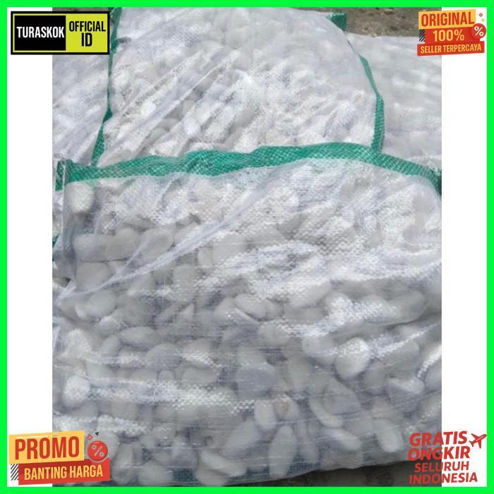 New Batu Hias Taman Putih Kupang - Besar