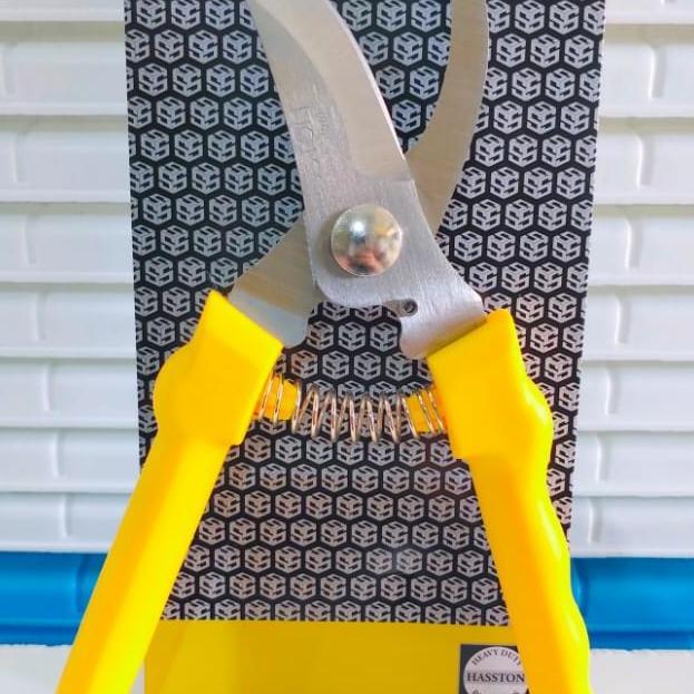 GUNTING DAHAN HASSTON PROHEX