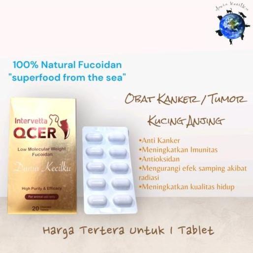 Intervetta Qcer Obat Kanker Tumor Anjing Kucing Per Kapsul