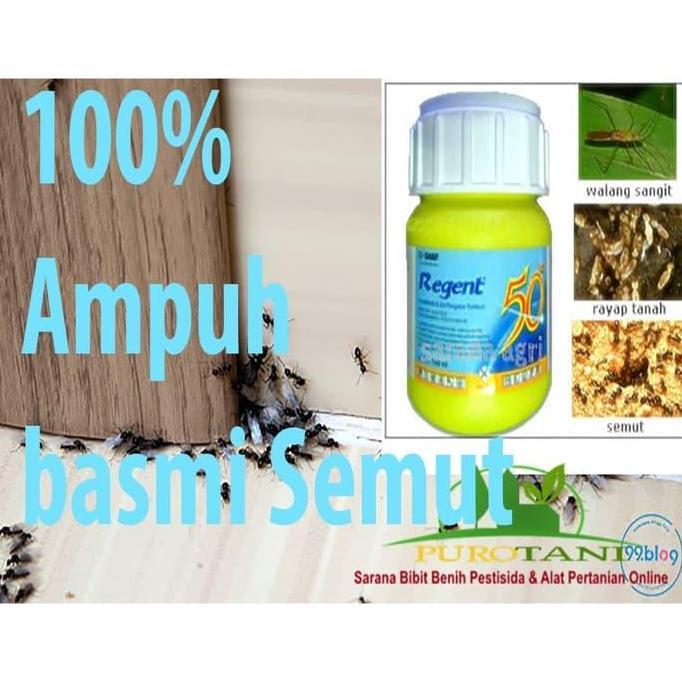 Regent Insektisida 50 Sc 100Ml Racun Semut