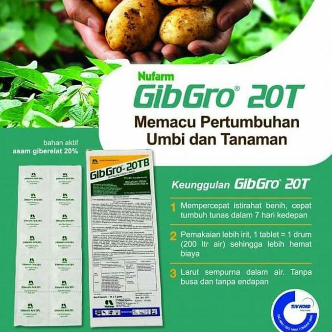 Gibgro Tablet Ga3 Zpt Hormon