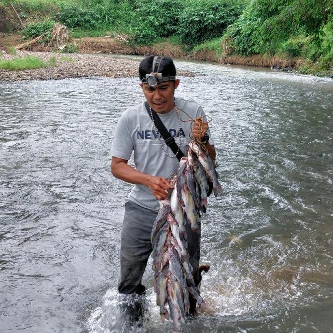 umpan pancing kucur super Kacong steven PRODUCTION, Yg diracik oleh pakar yg berpengalaman, dan tela