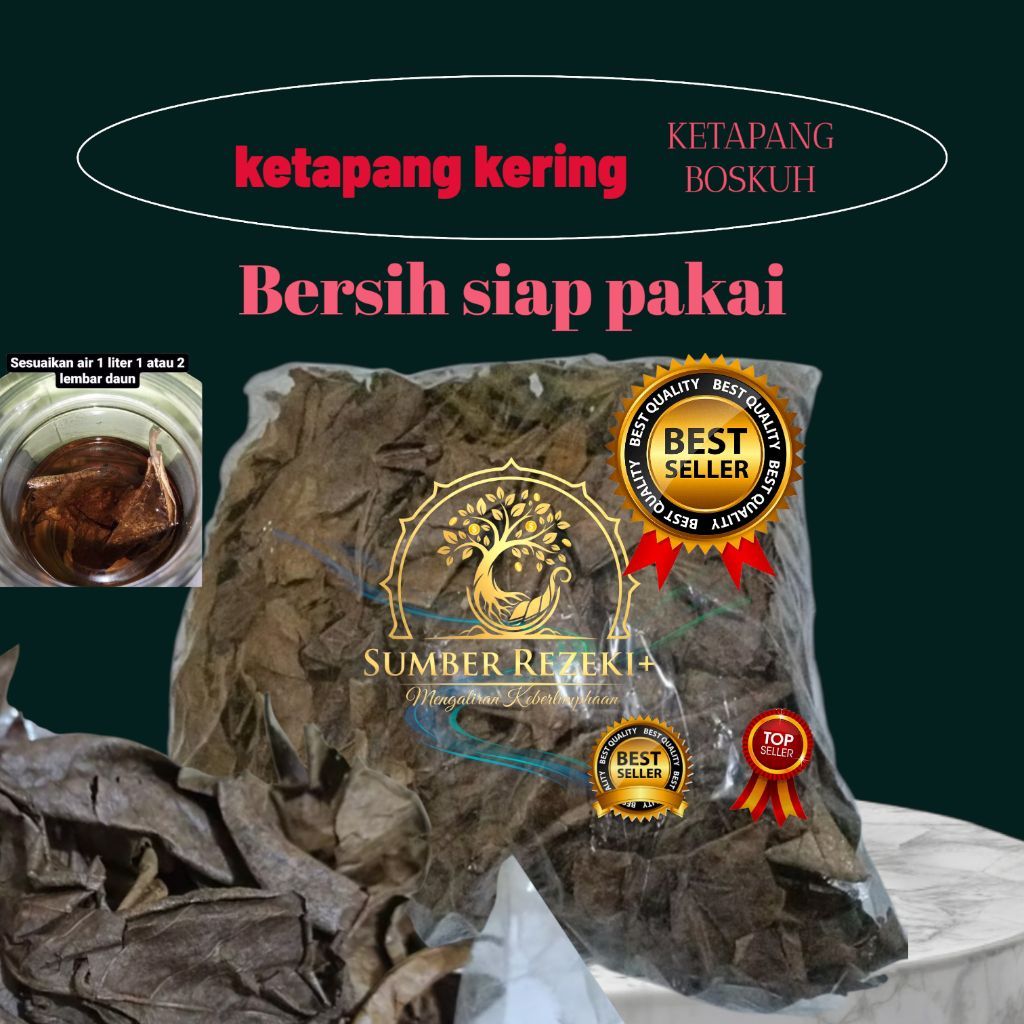 Daun Ketapang Alami 100% – Anti Jamur Ikan Cupang