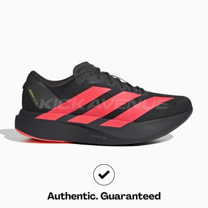 Adidas Adizero Evo SL Carbon Lucid Red ( PRE ORDER )