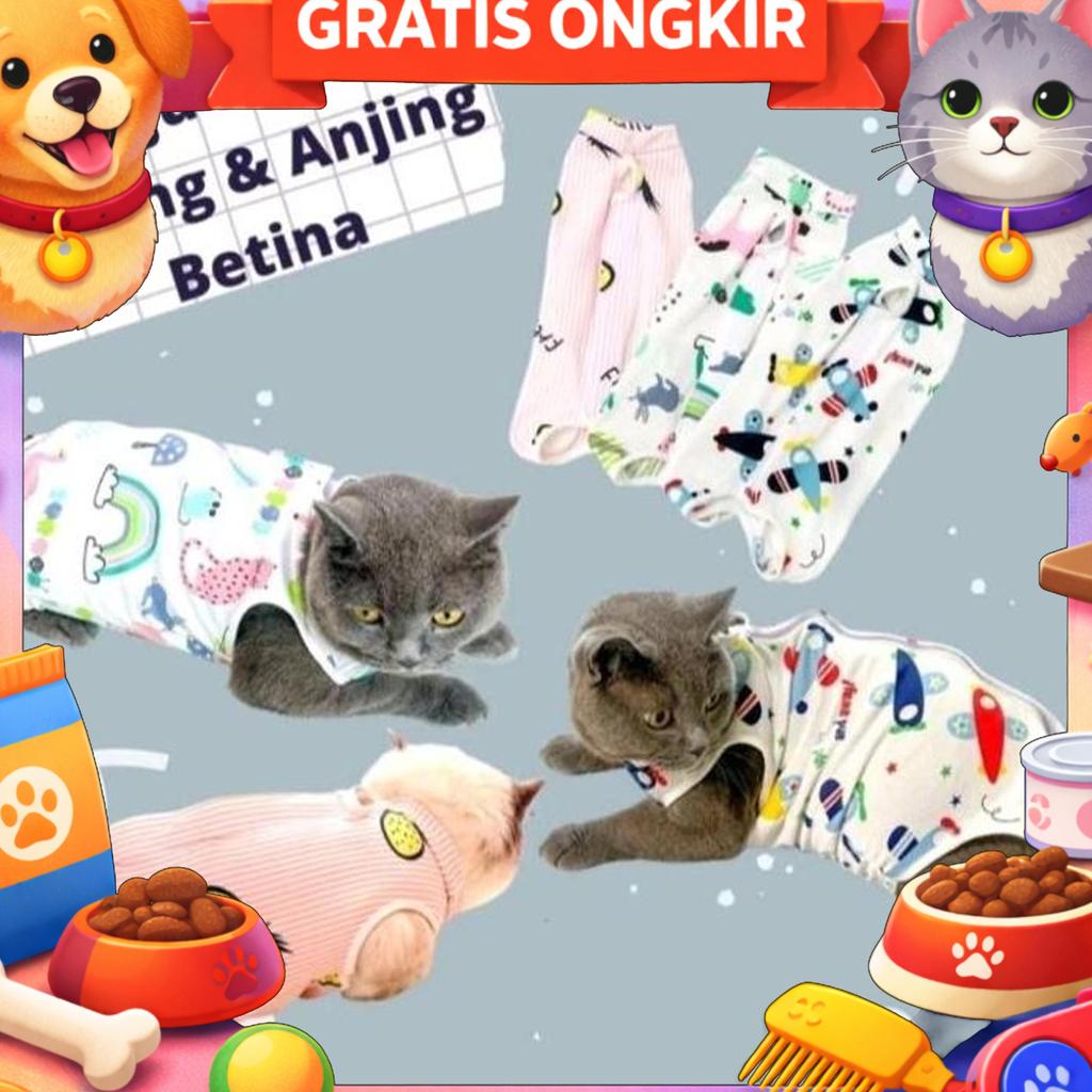 Baju Steril Anjing & Kucing Betina - Recovery Pasca Oprasi