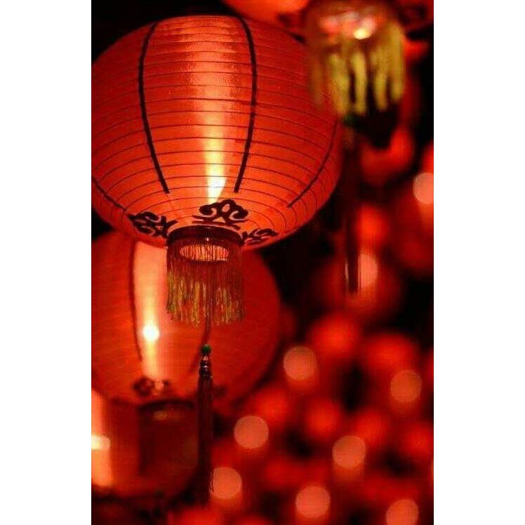 Lampion Imlek Gantung 20in 50cm Polos