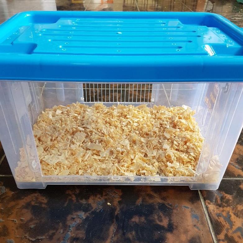 kontainer box modif akrilik kandang hamster landak mini reptil 30L