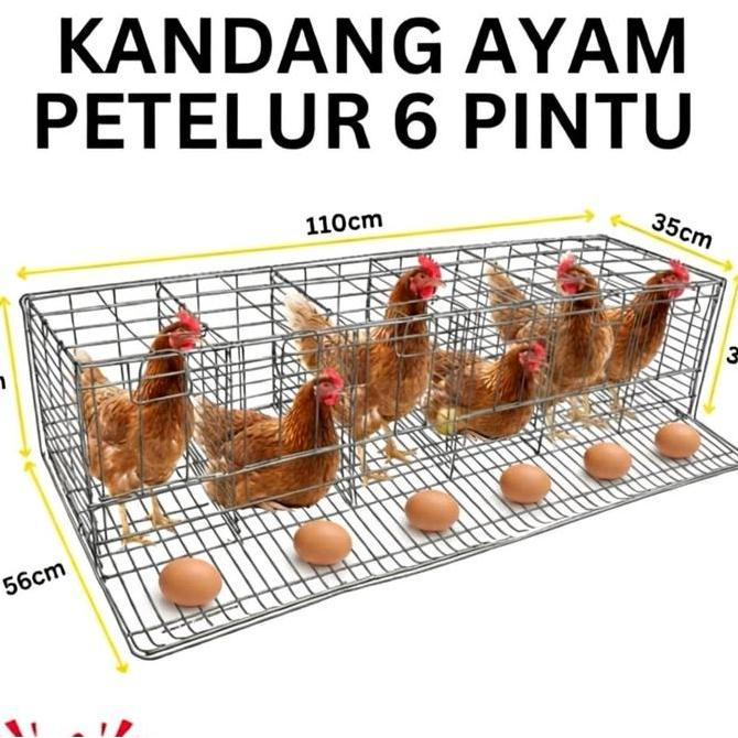kandang ayam petelur Besi kalvanis anti karat harga termurah se-Indonesia