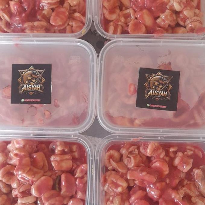 New- Otot Tumis Umpan Galatama Lele Dan Bawal