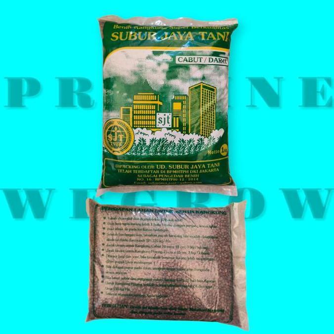 Bibit Benih Biji Kangkung 1 Kg Sayuran hidroponik