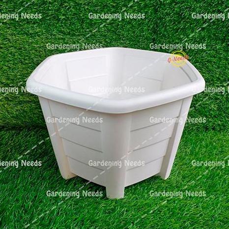 Ground- Pot Bunga/Tanaman Lucky Star Segi 6 Hexagon Camelia 5575