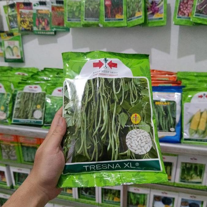 Ground- Benih Buncis Polong Hijau Tresna / Tresna Xl Original Panah Merah Isi 500Gr
