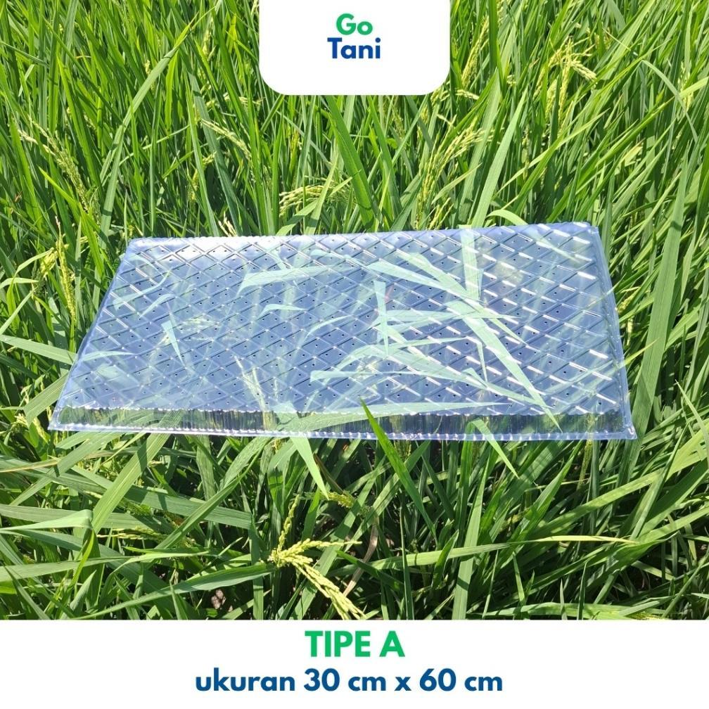 Promo Cod Ya Kak ( Tipe A ) Tray Semai Benih Padi / Tray Semai Padi / Wadah Semai Padi / Tray Semai 