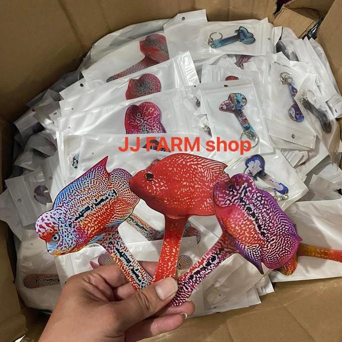 Fishbou- Wayang Ikan Louhan Full Aclyric Stick Full Kuat Ukuran Besar