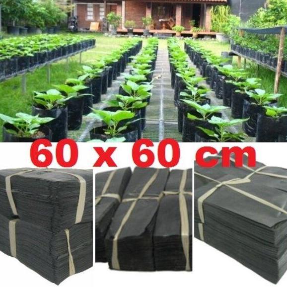 Polybag Besar Duduk 60 x 60 cm 1 Plastik Bibit Tanaman Buah Hitam