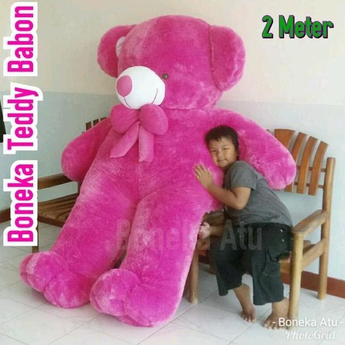 Gas,Cod- Boneka Raksasa Teddy Bear Super Jumbo Pita Besar 2 Meter Sultan