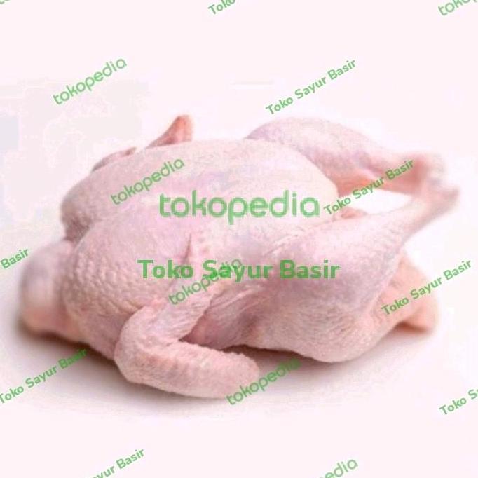 Rouge- Ayam Kampung Segar 1 Ekor