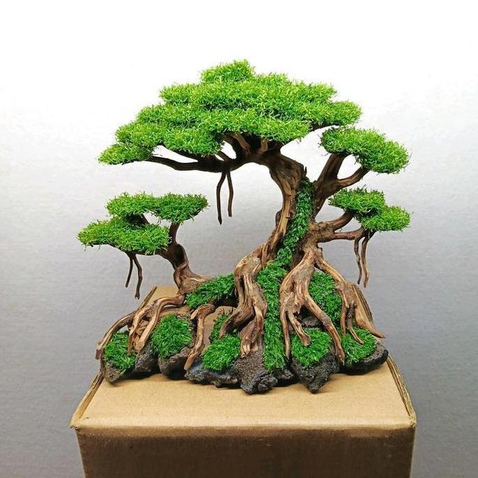 BONSAI AQUARIUM AQUASCAPE ELEGAN AQUARIUM AQUASCAPE XKY AQUARIUM AQUASCAPE HIASAN AQUARIUM AQUASCAPE