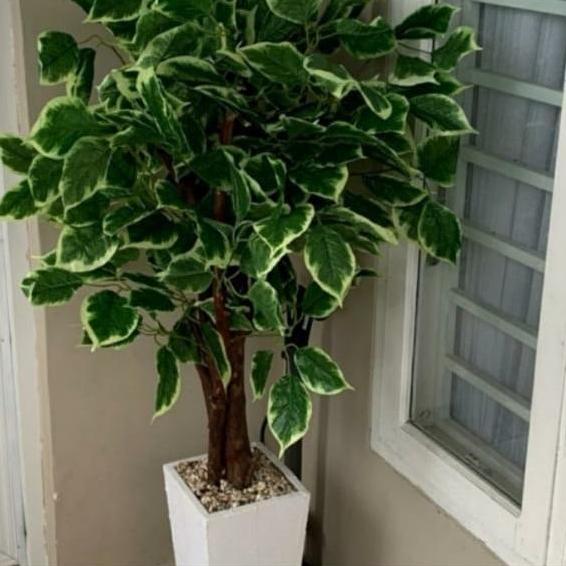 POHON SINFU/POHON HIAS ARTIFICIAL/POHON PLASTIK/BUNGA PLASTIK